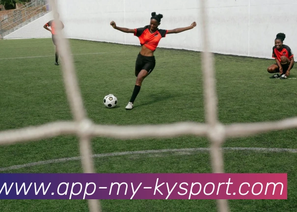 开云app服务体系